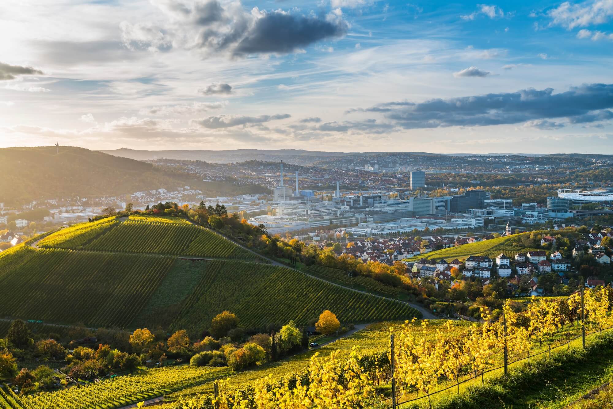 Blick über Weinberge auf eine Stadtlandschaft mit modernen Gebäuden und Hügeln im Abendlicht.